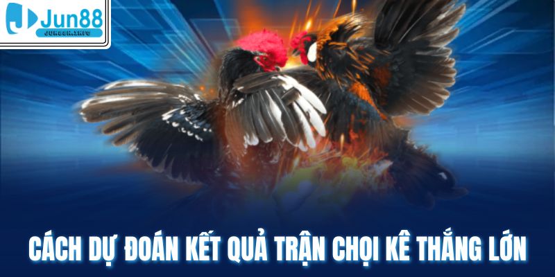 Cách dự đoán kết quả trận chọi kê thắng lớn