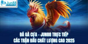 Đá Gà Cựa - Jun88 Trực Tiếp Các Trận Đấu Chất Lượng Cao