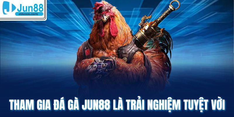Tham gia đá gà Jun88 là trải nghiệm tuyệt vời 