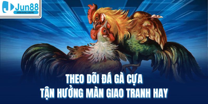 Theo dõi đá gà cựa tận hưởng màn giao tranh hay