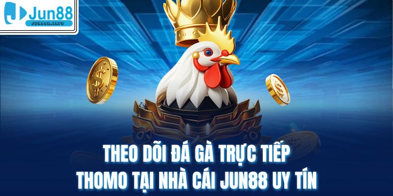 Theo Dõi Đá Gà Trực Tiếp Thomo Tại Nhà Cái Jun88 Uy Tín